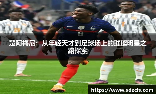 8188www威尼斯官网